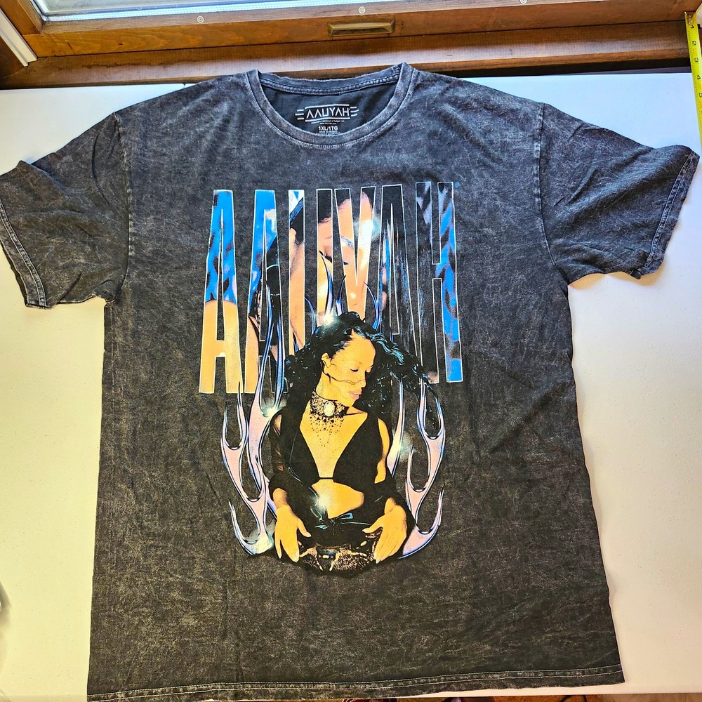 Aaliyah Music Graphic Print Gray Crew Neck Short Sleeve Cotton T-Shirt Big 1X